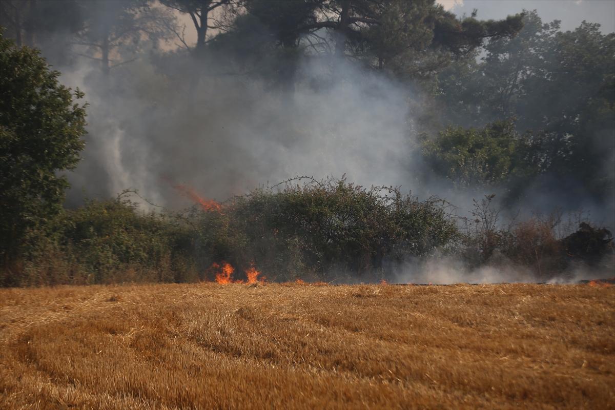 Türkiye yangınla mücadele veriyor!