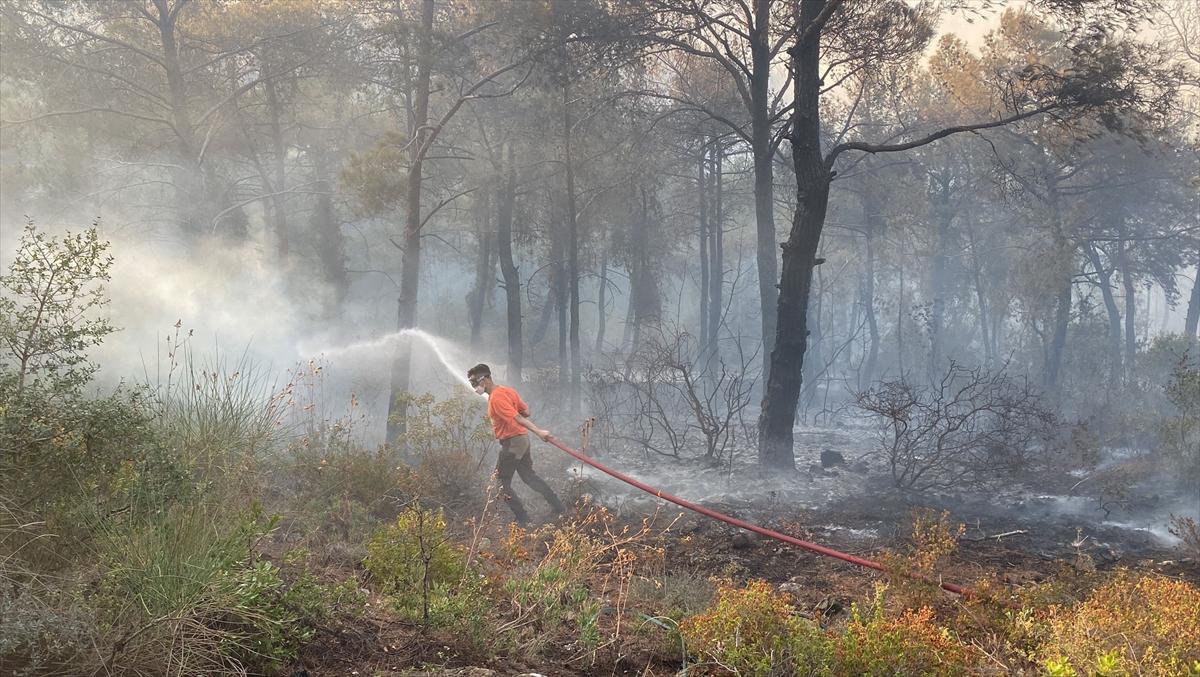 Türkiye yangınla mücadele veriyor!
