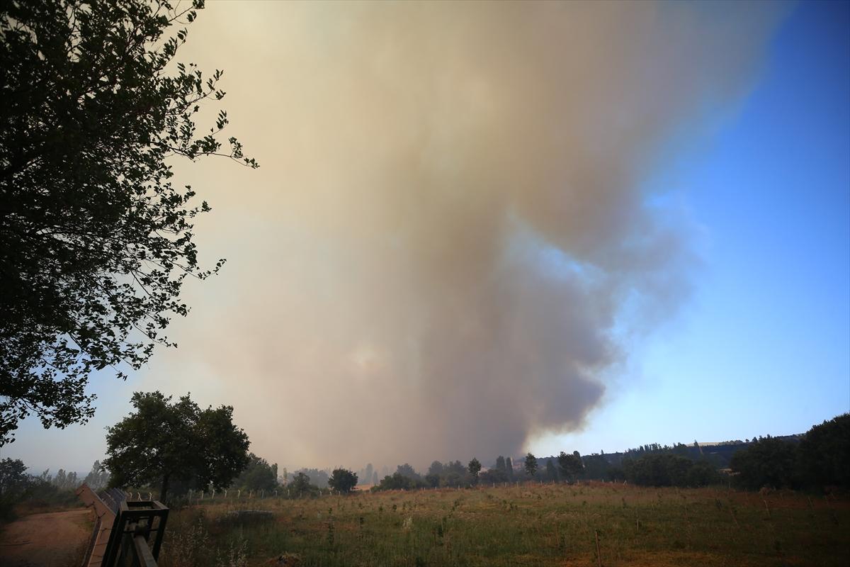 Türkiye yangınla mücadele veriyor!