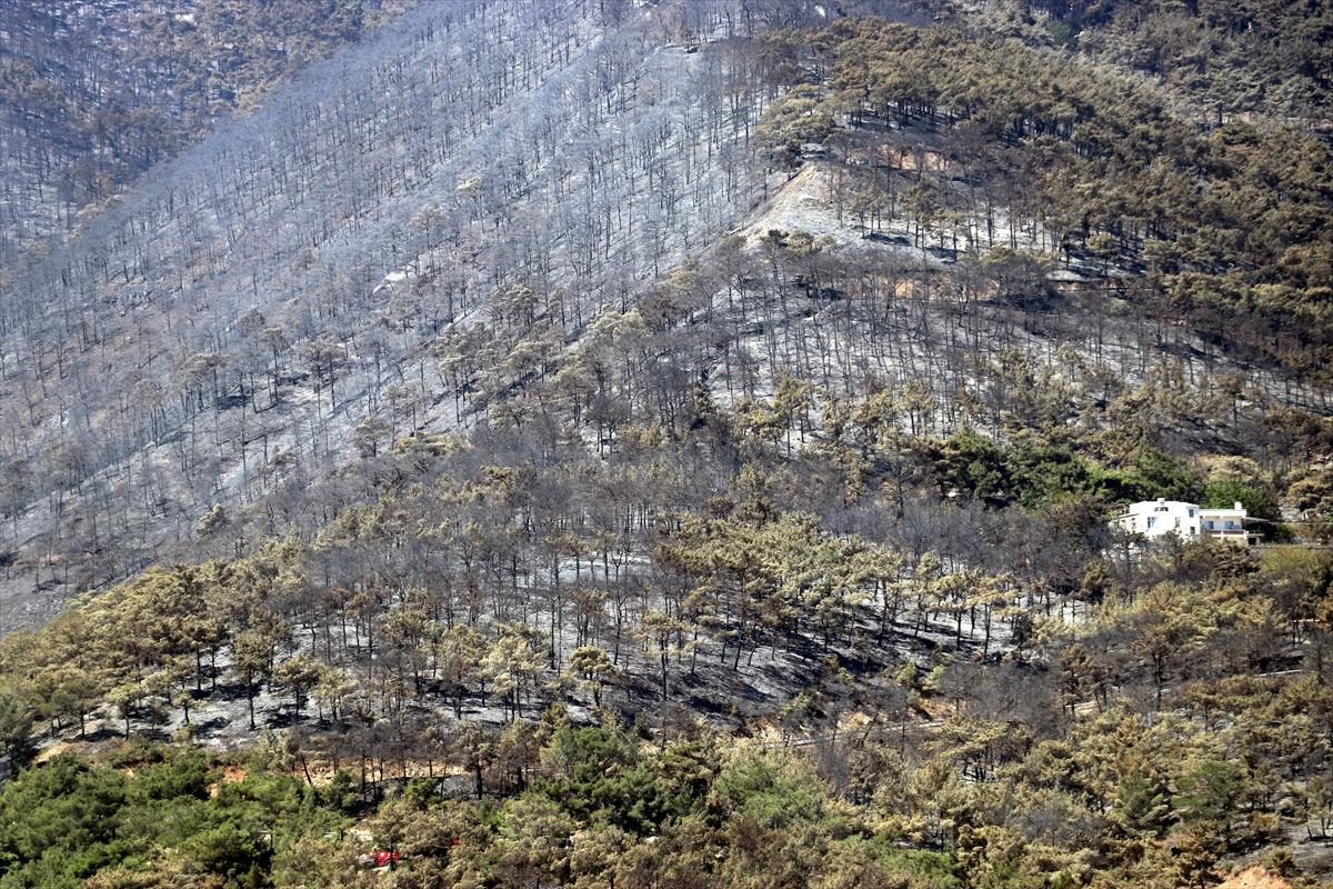 3 gün boyunca alev alev yandı! Hatay'da orman yangınından geriye kalan manzara