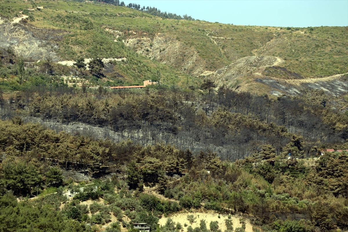 3 gün boyunca alev alev yandı! Hatay'da orman yangınından geriye kalan manzara