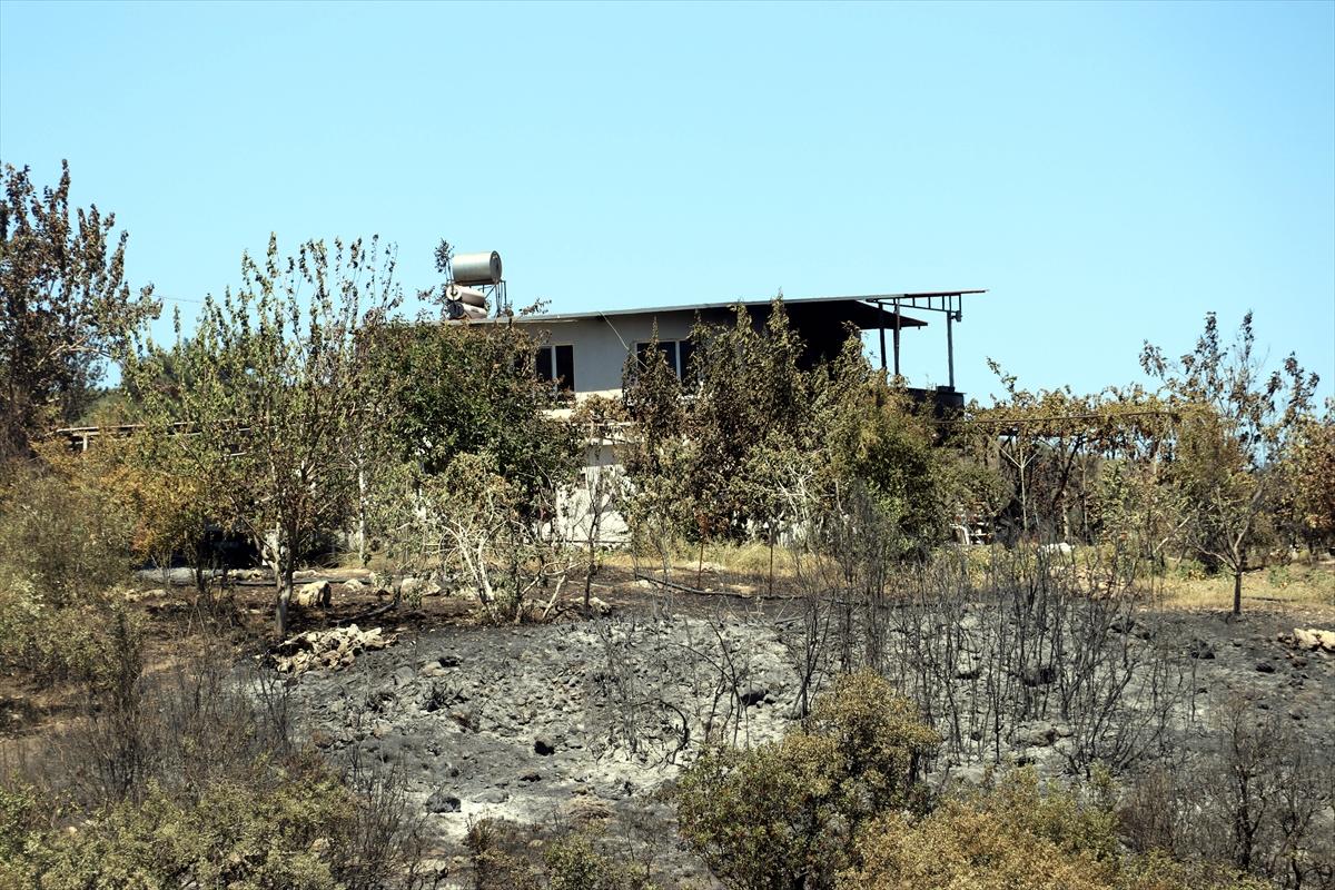 3 gün boyunca alev alev yandı! Hatay'da orman yangınından geriye kalan manzara