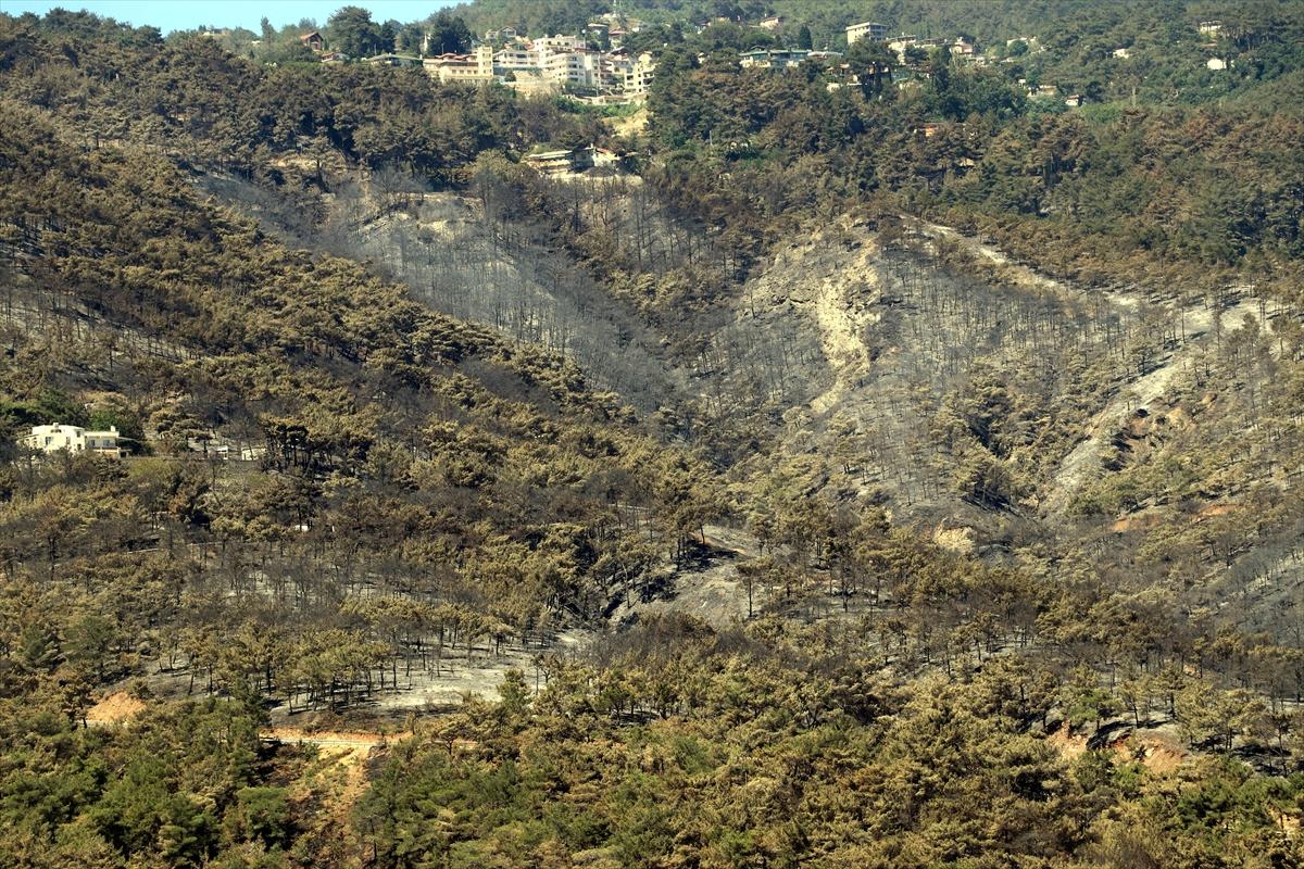3 gün boyunca alev alev yandı! Hatay'da orman yangınından geriye kalan manzara