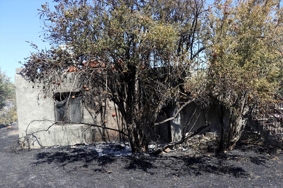 3 gün boyunca alev alev yandı! Hatay'da orman yangınından geriye kalan manzara