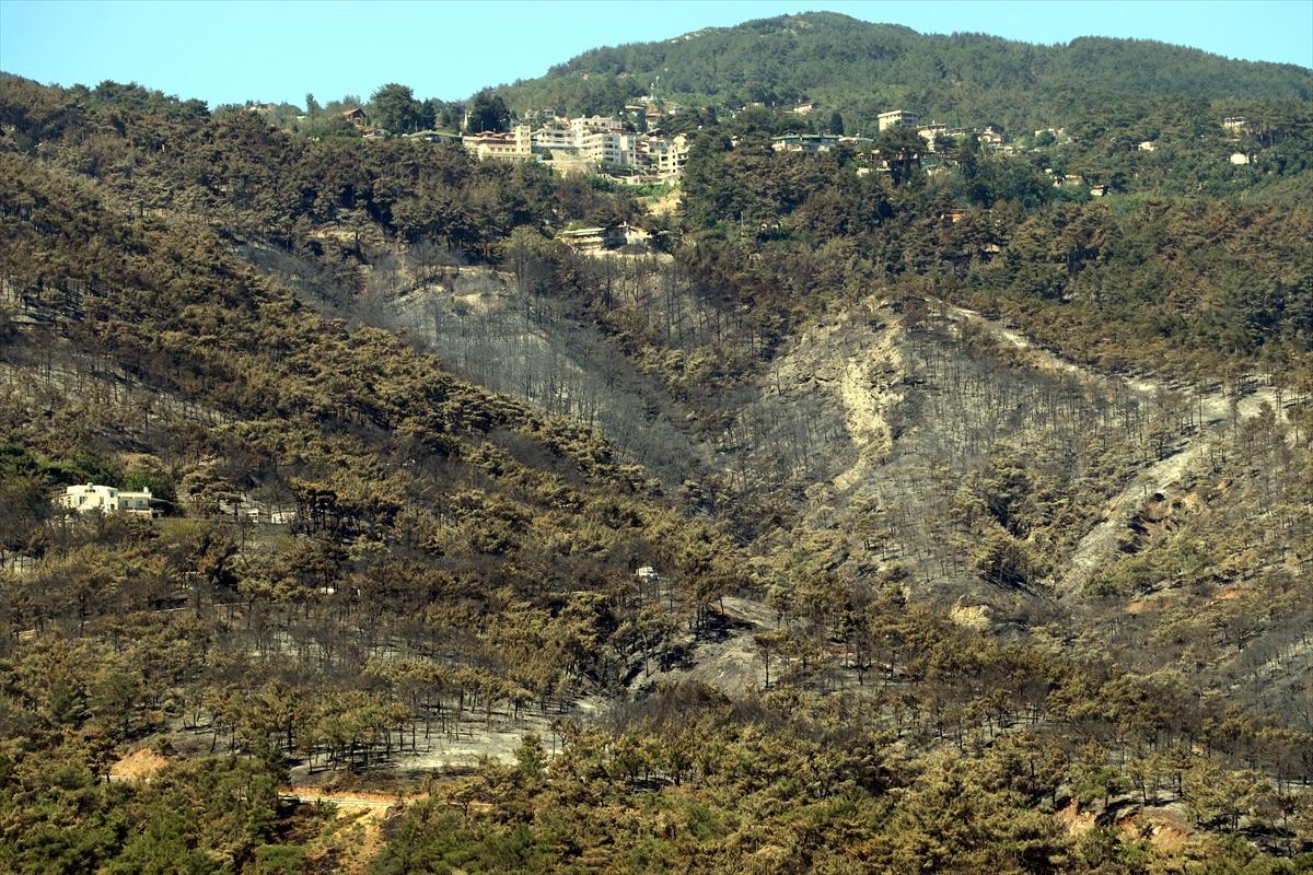 3 gün boyunca alev alev yandı! Hatay'da orman yangınından geriye kalan manzara