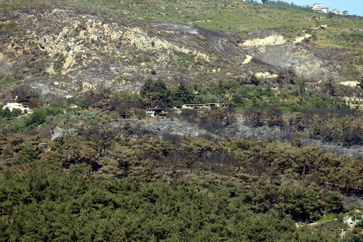 3 gün boyunca alev alev yandı! Hatay'da orman yangınından geriye kalan manzara