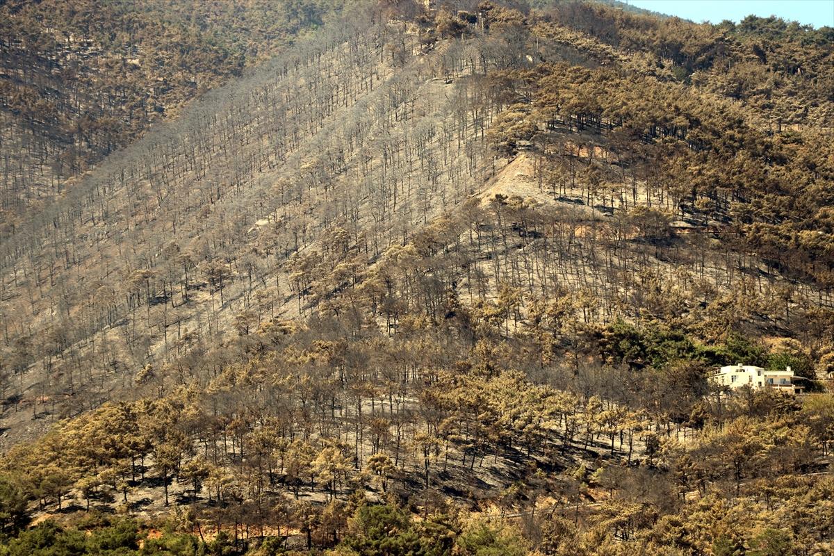 3 gün boyunca alev alev yandı! Hatay'da orman yangınından geriye kalan manzara