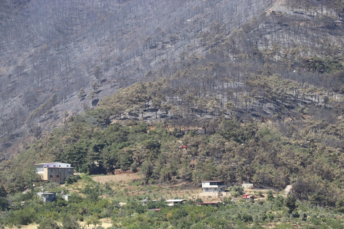 3 gün boyunca alev alev yandı! Hatay'da orman yangınından geriye kalan manzara