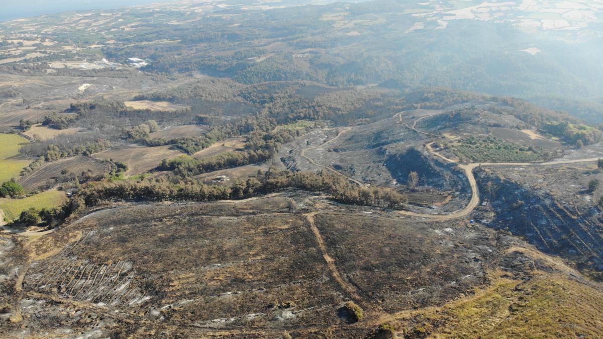 Çanakkale'de orman yangını 52 saat sonra kontrol altına alındı