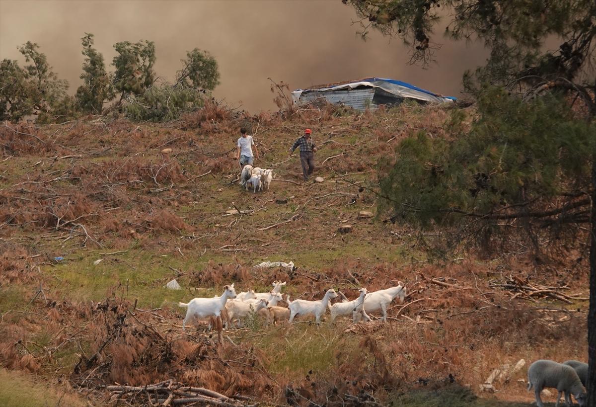 Çanakkale'de orman yangını 52 saat sonra kontrol altına alındı