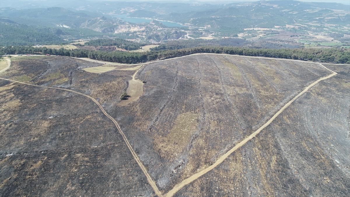 Çanakkale'de orman yangını 52 saat sonra kontrol altına alındı