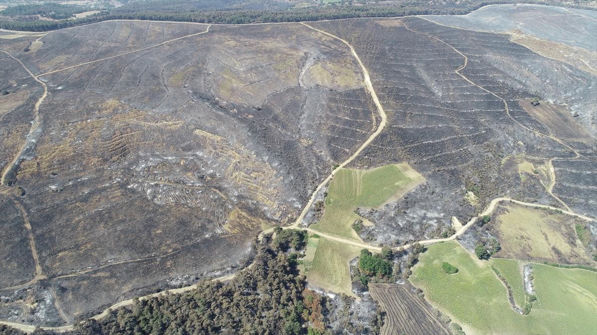 Çanakkale'de orman yangını 52 saat sonra kontrol altına alındı