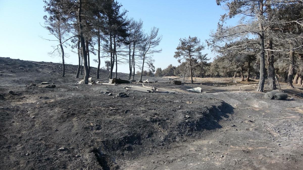 Çanakkale'de orman yangını 52 saat sonra kontrol altına alındı