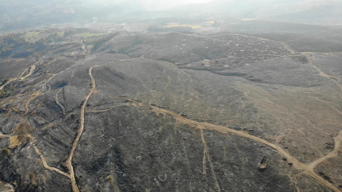 Çanakkale'de orman yangını 52 saat sonra kontrol altına alındı