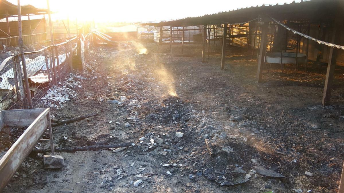 Çanakkale'de orman yangını 52 saat sonra kontrol altına alındı