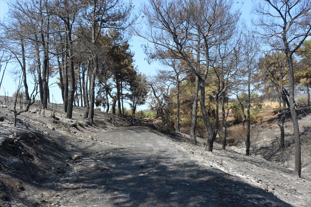 Çanakkale'de orman yangını 52 saat sonra kontrol altına alındı