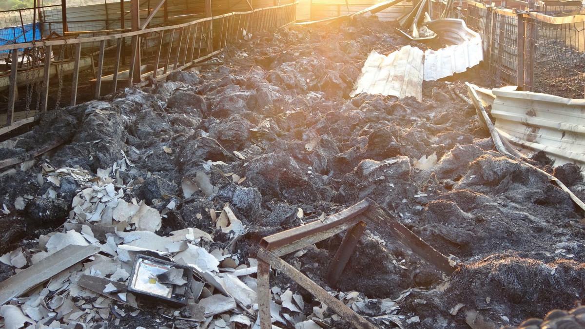 Çanakkale'de orman yangını 52 saat sonra kontrol altına alındı