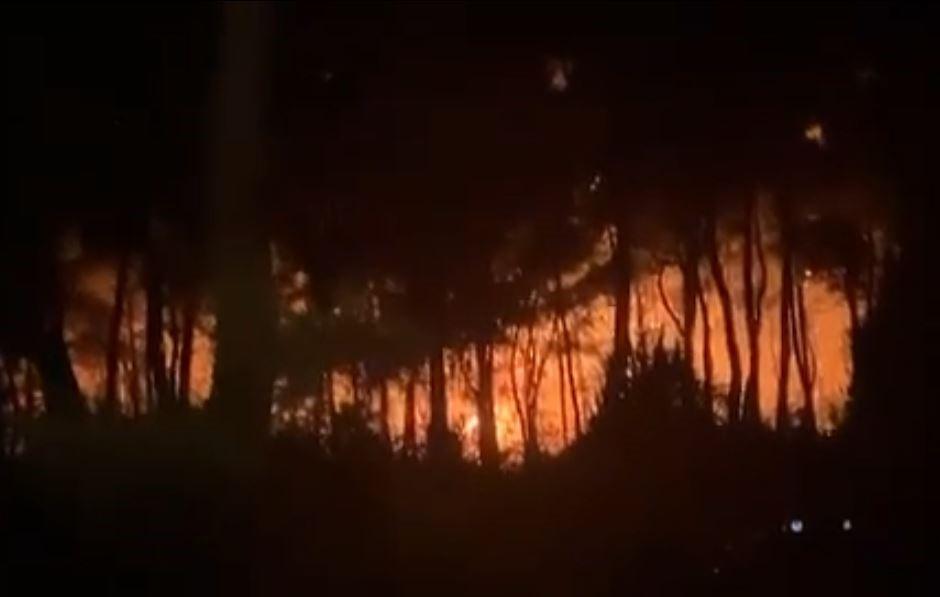 Kemer'deki orman yangınına havadan müdahale