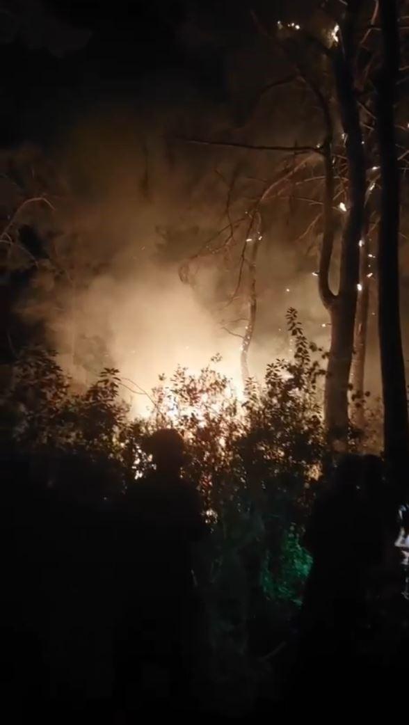 Kemer'deki orman yangınına havadan müdahale