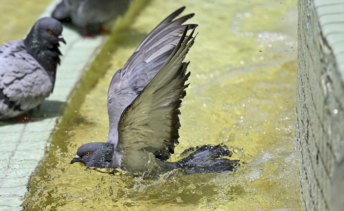Türkiye son yılların en sıcak gününü yaşıyor