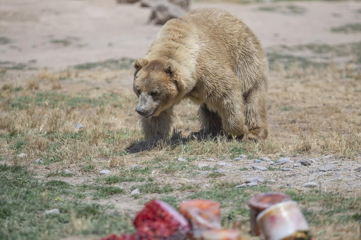 Hayvanat bahçesinde buzlu meyve kokteyli ile serinlediler