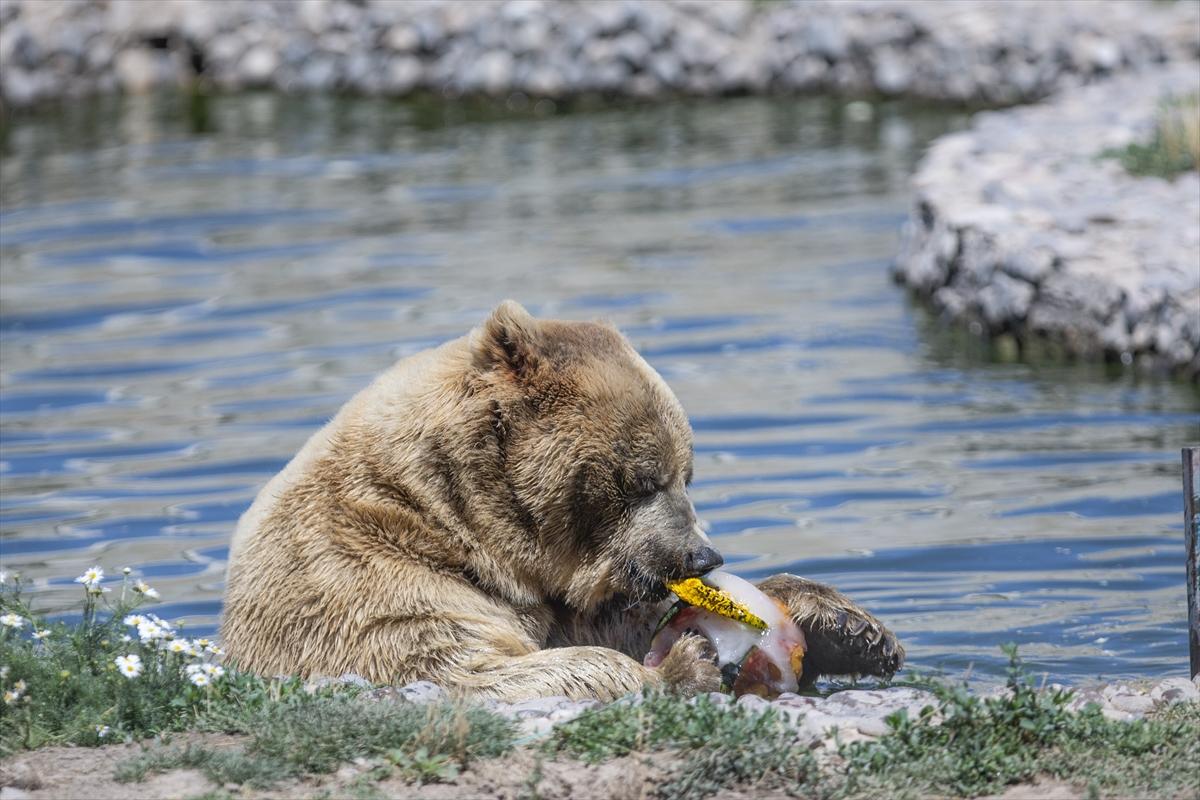 Hayvanat bahçesinde buzlu meyve kokteyli ile serinlediler