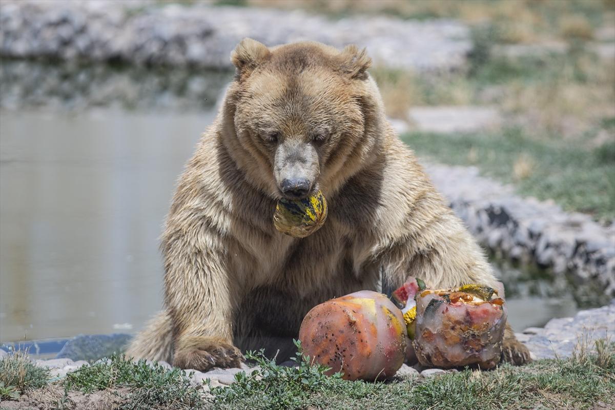 Hayvanat bahçesinde buzlu meyve kokteyli ile serinlediler