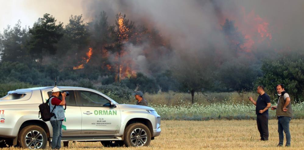 Yeşil vatan onlara emanet! İsimsiz kahramanlar ‘Ormancılar’