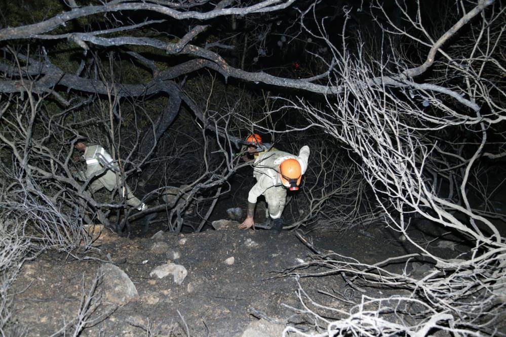 Yeşil vatan onlara emanet! İsimsiz kahramanlar ‘Ormancılar’