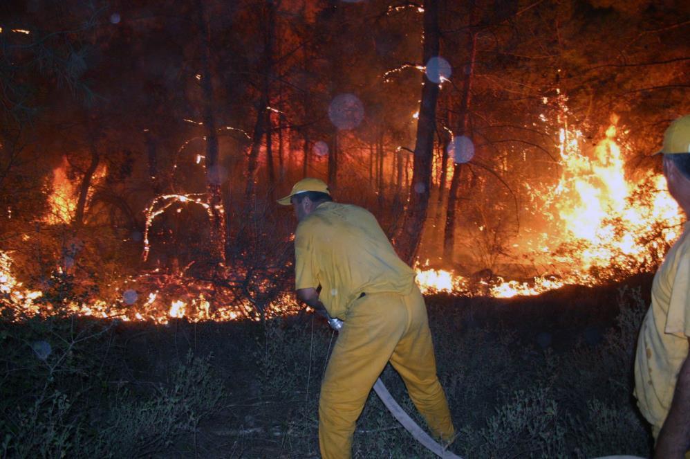 Yeşil vatan onlara emanet! İsimsiz kahramanlar ‘Ormancılar’