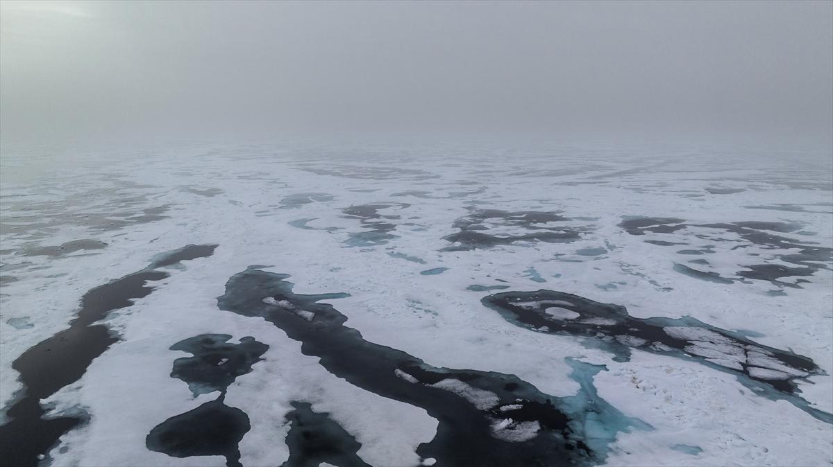 Kuzey Kutbu 1 yılda İstanbul'un üçte biri kadar eridi