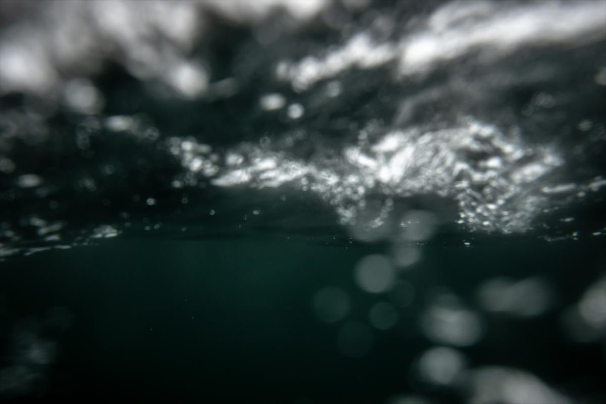 Kuzey Kutbu 1 yılda İstanbul'un üçte biri kadar eridi