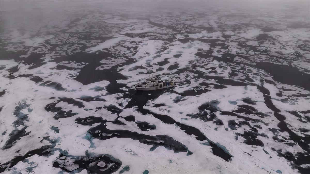 Kuzey Kutbu 1 yılda İstanbul'un üçte biri kadar eridi