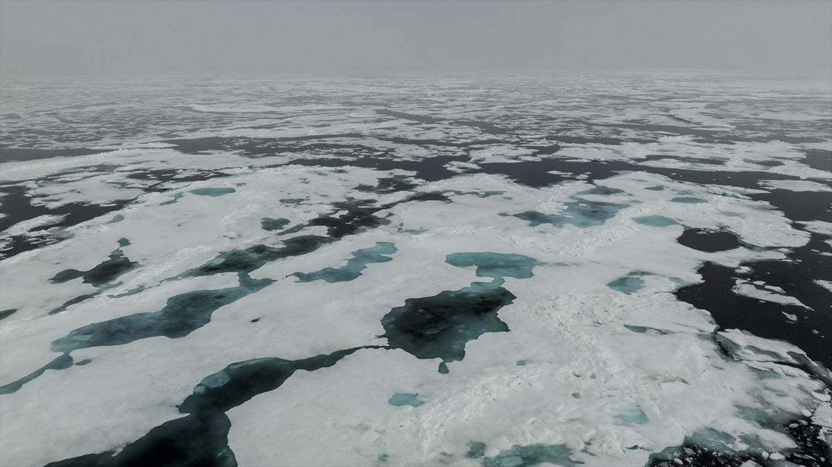 Kuzey Kutbu 1 yılda İstanbul'un üçte biri kadar eridi