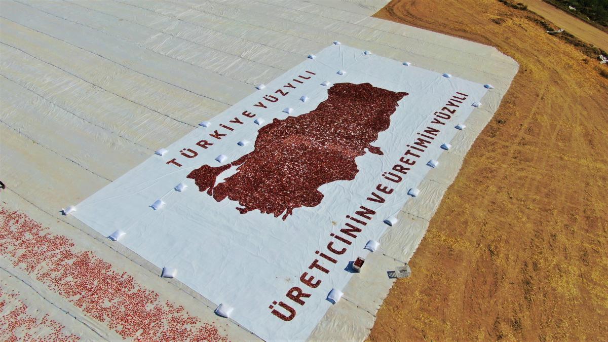 Elazığ'da mevsimlik tarım işçilerinden kurutmalık domateslerle dev Türkiye haritası