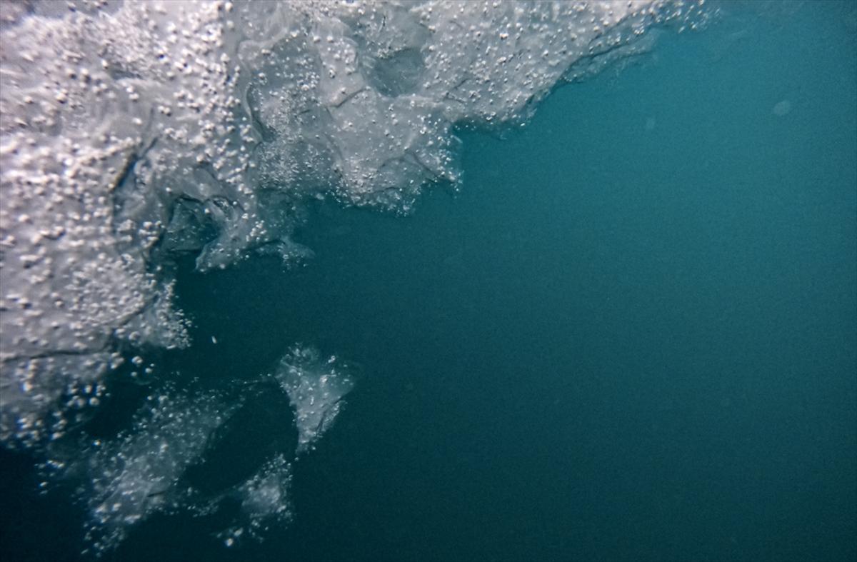 Kuzey Kutbu 1 yılda İstanbul'un üçte biri kadar eridi