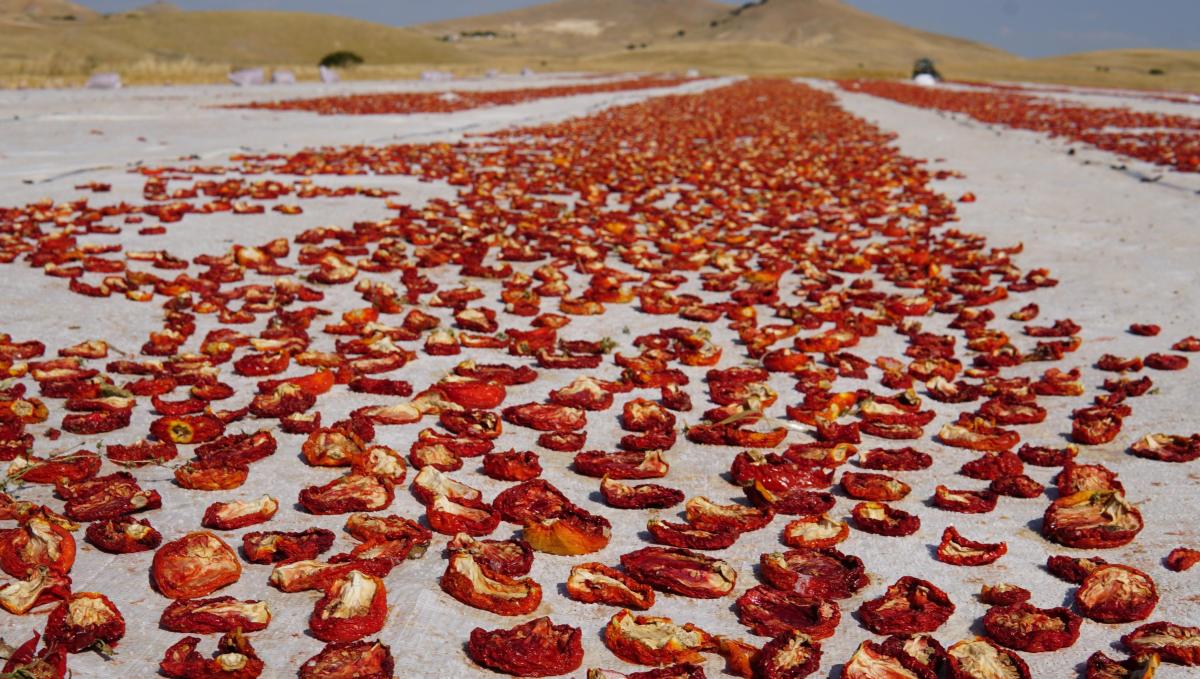 Elazığ'da mevsimlik tarım işçilerinden kurutmalık domateslerle dev Türkiye haritası