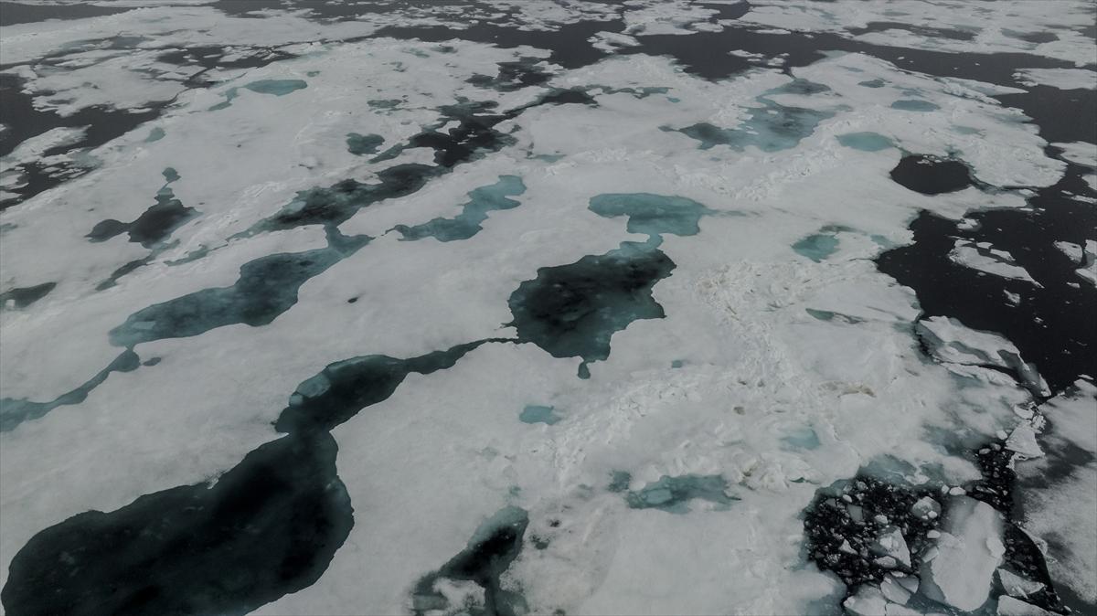 Kuzey Kutbu 1 yılda İstanbul'un üçte biri kadar eridi