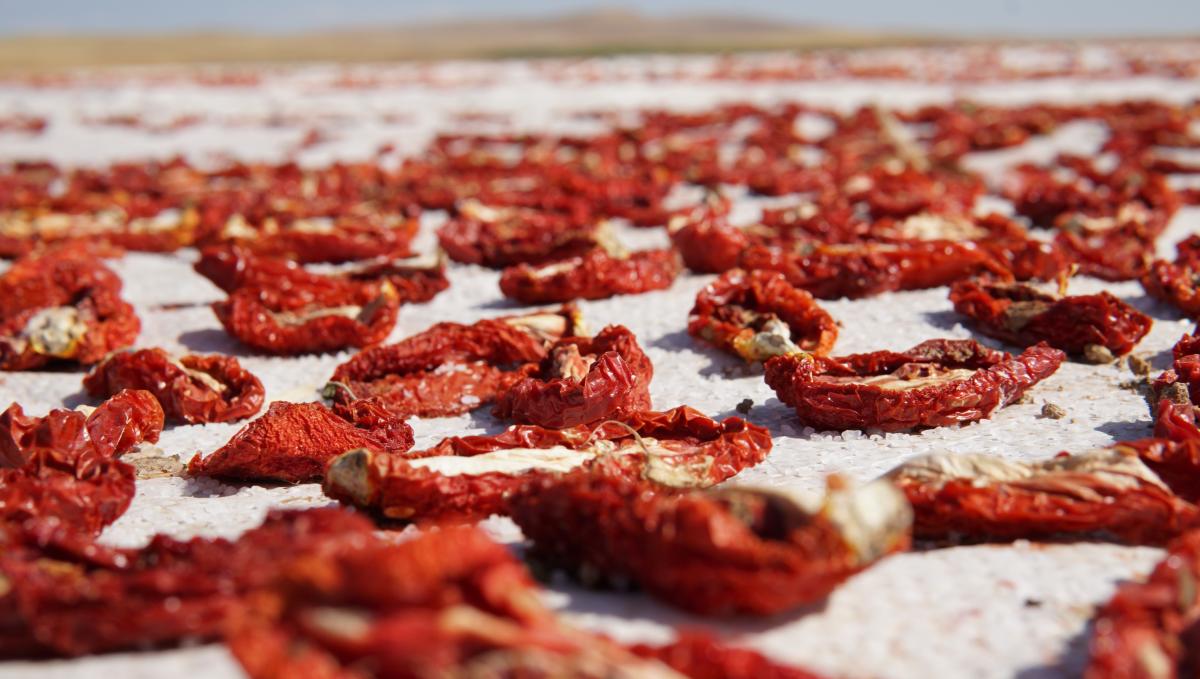 Elazığ'da mevsimlik tarım işçilerinden kurutmalık domateslerle dev Türkiye haritası