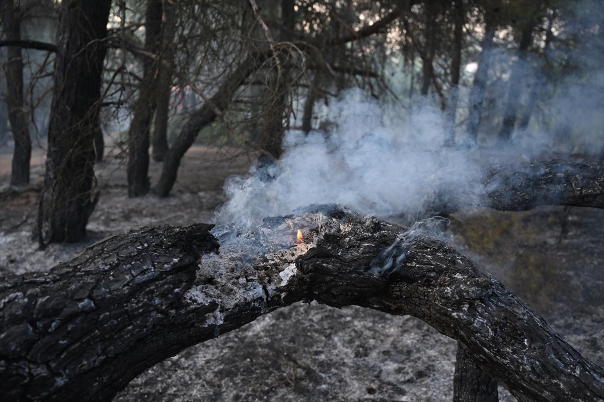 Çanakkale alevlere teslim oldu! Kare kare orman yangını...