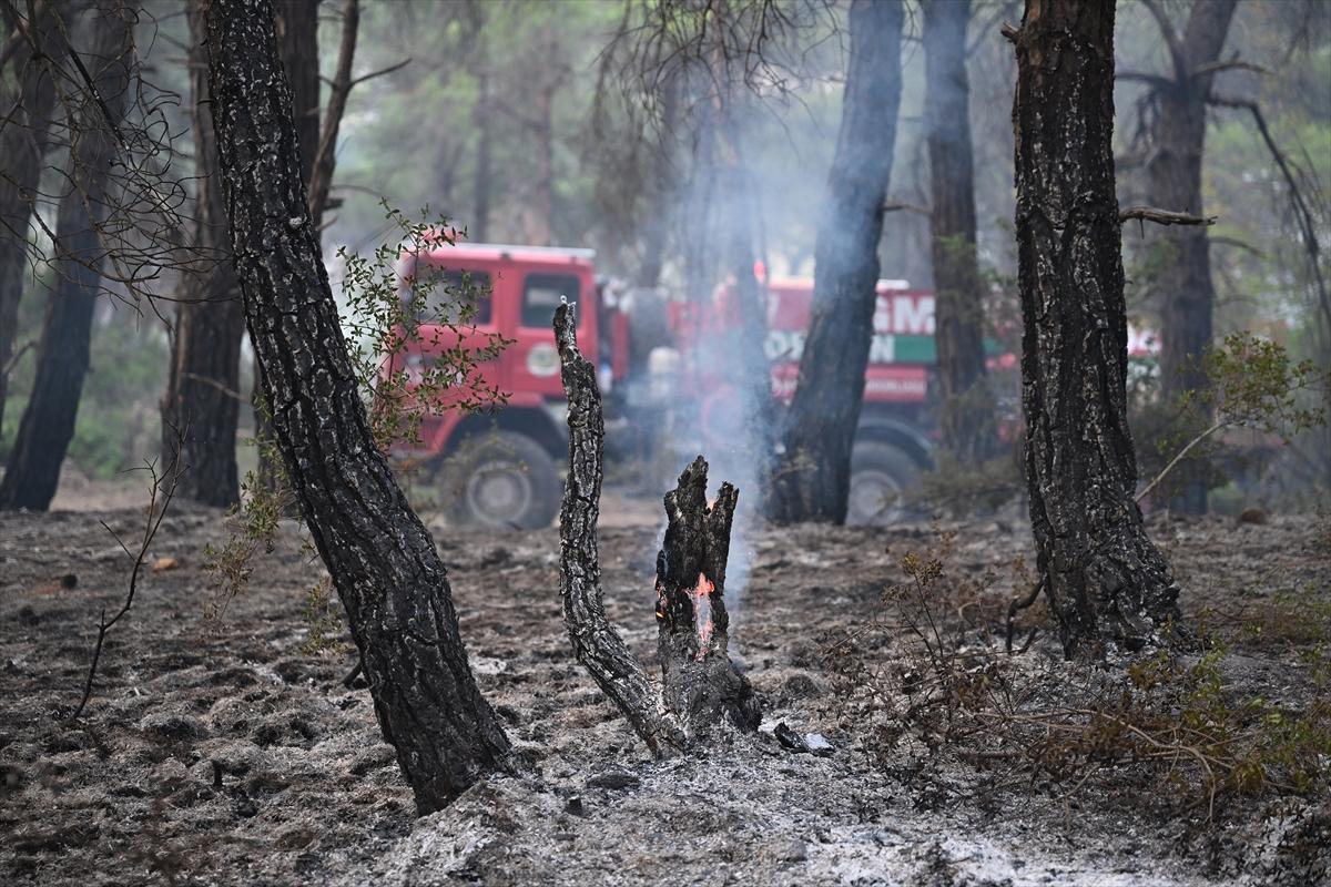 Çanakkale alevlere teslim oldu! Kare kare orman yangını...