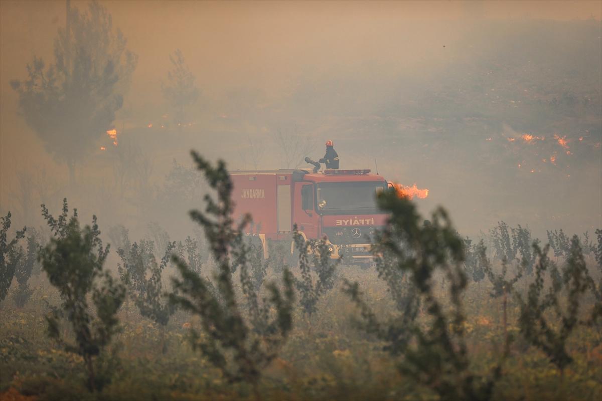 Çanakkale alevlere teslim oldu! Kare kare orman yangını...