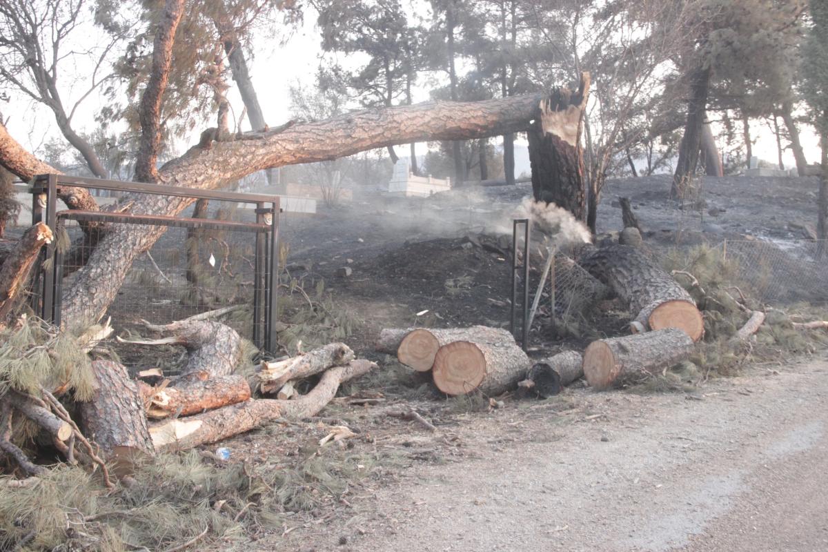 Çanakkale'de yangının ardından köyler küle döndü