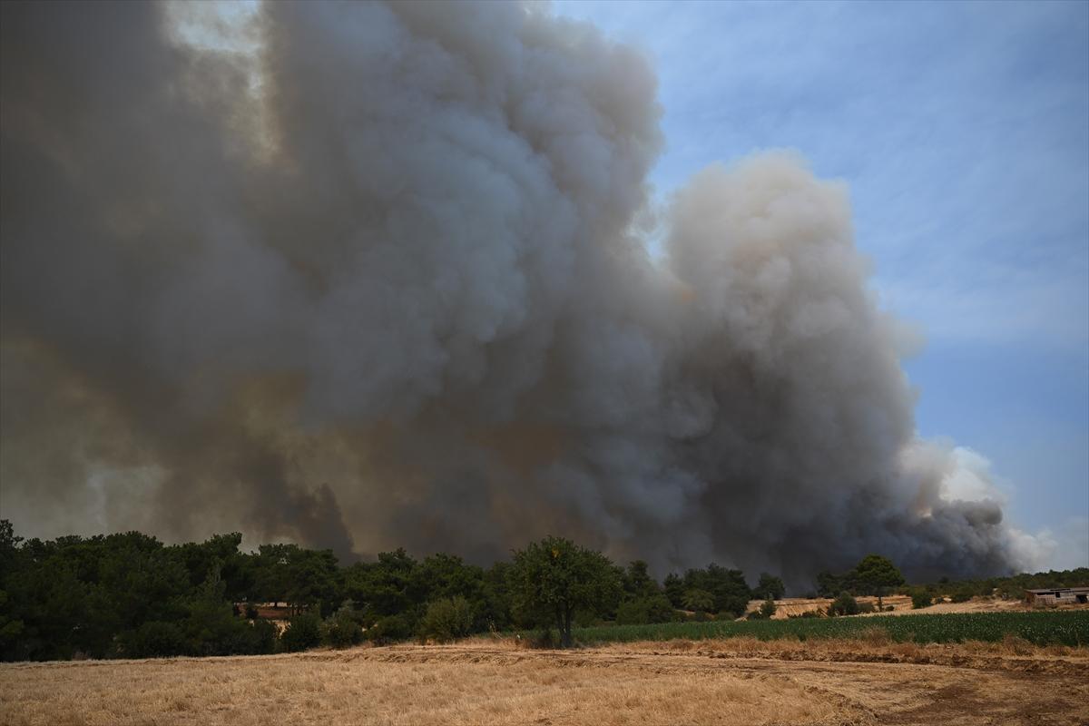 Kontrol altına alınan Çanakkale yangınından kareler