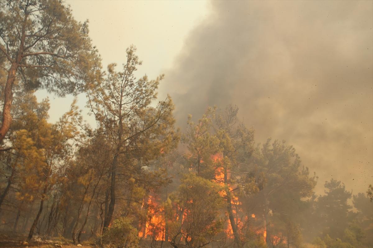 Kontrol altına alınan Çanakkale yangınından kareler