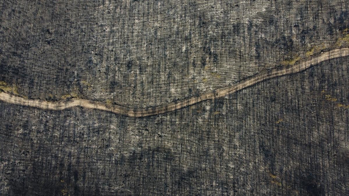 Eskişehir'de orman yangınından geriye kalanlar