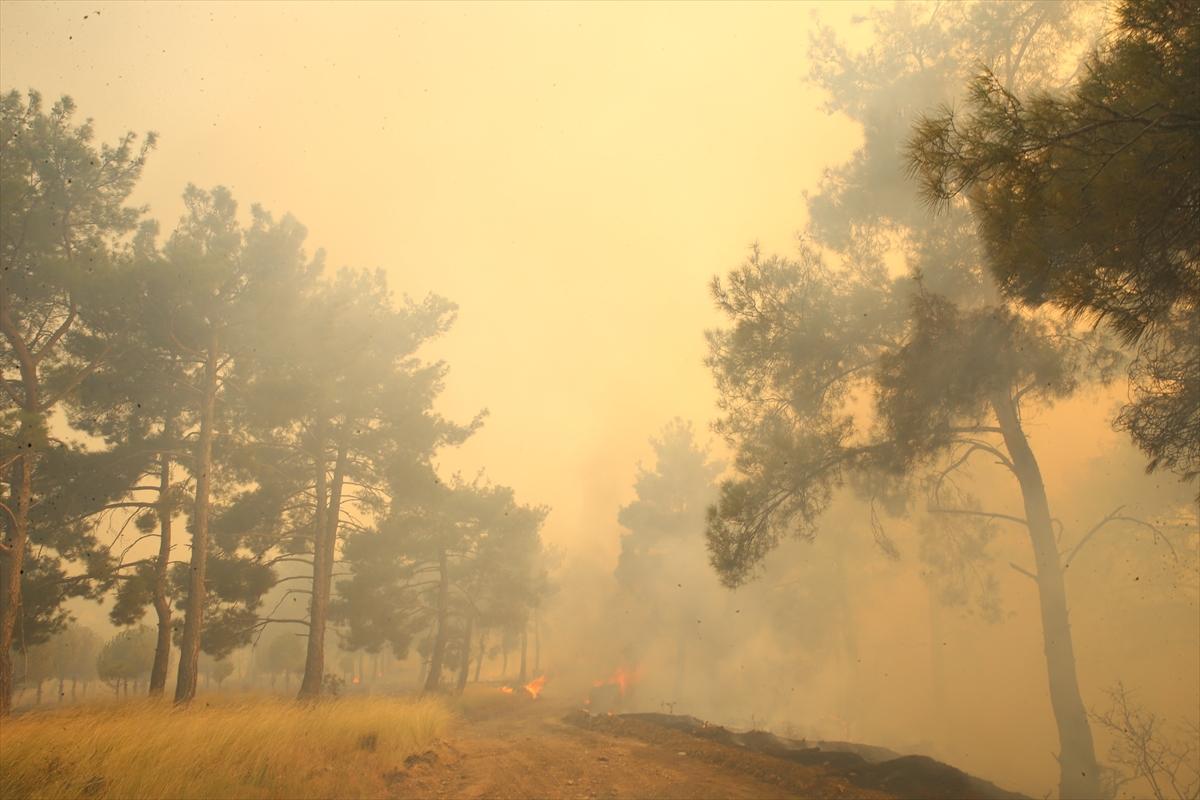 Kontrol altına alınan Çanakkale yangınından kareler