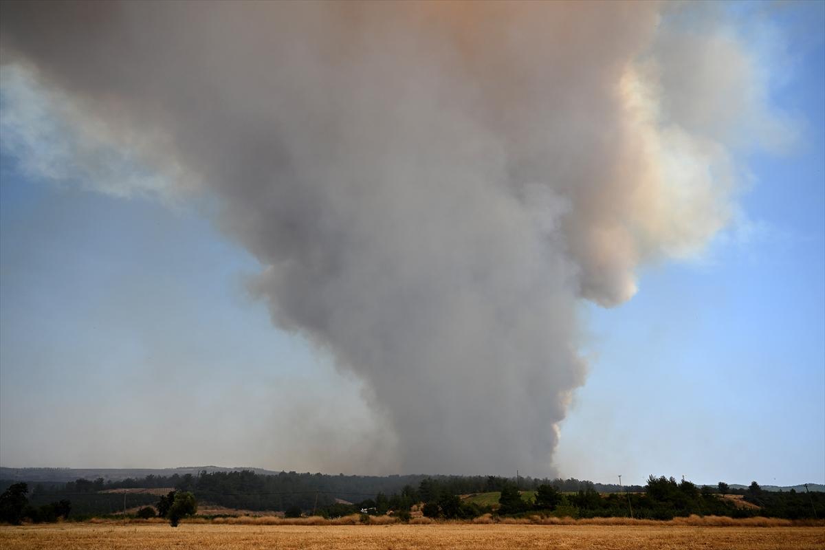 Kontrol altına alınan Çanakkale yangınından kareler