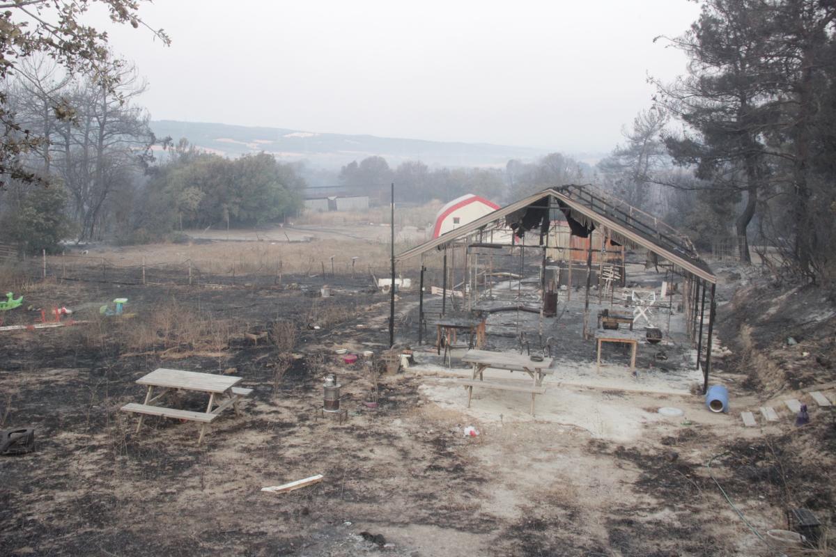Çanakkale'de yangının ardından köyler küle döndü