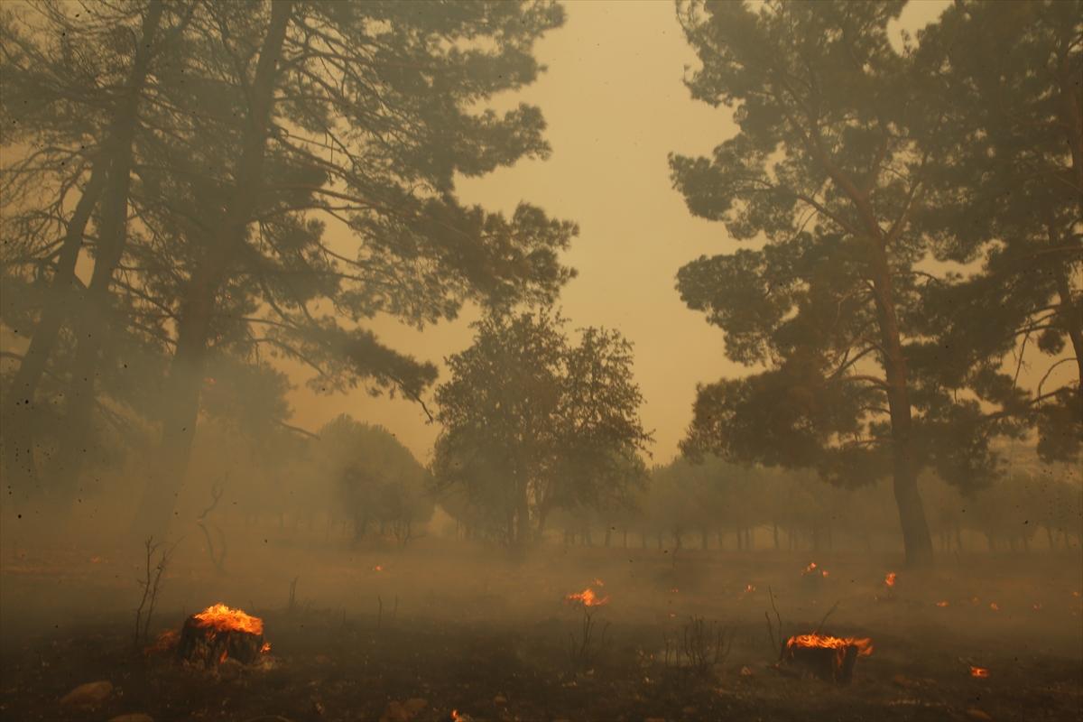 Kontrol altına alınan Çanakkale yangınından kareler